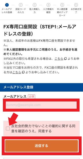 メールアドレスを入力し、チェックボックスにチェックを入れ、「送信する」ボタンをタップ